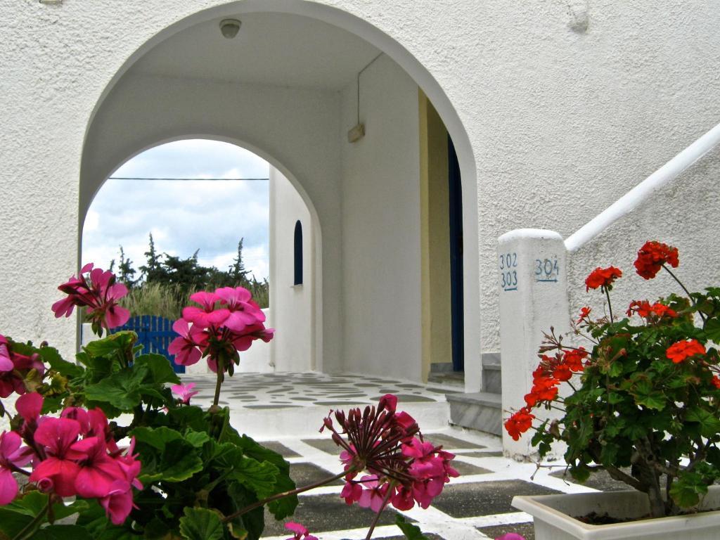 Damias Village パロス島 エクステリア 写真